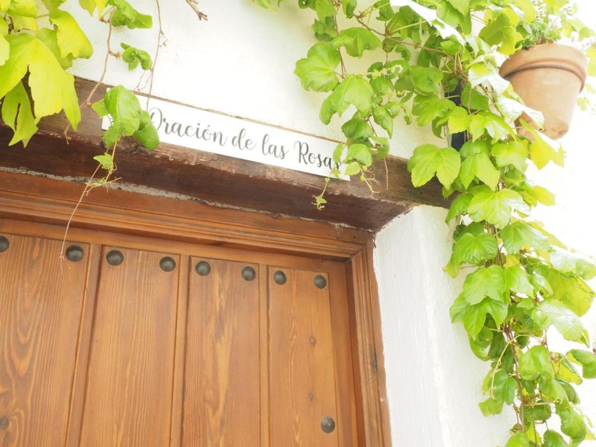 Casa Rural Catifalarga Alpujarra Capileira Eksteriør bilde