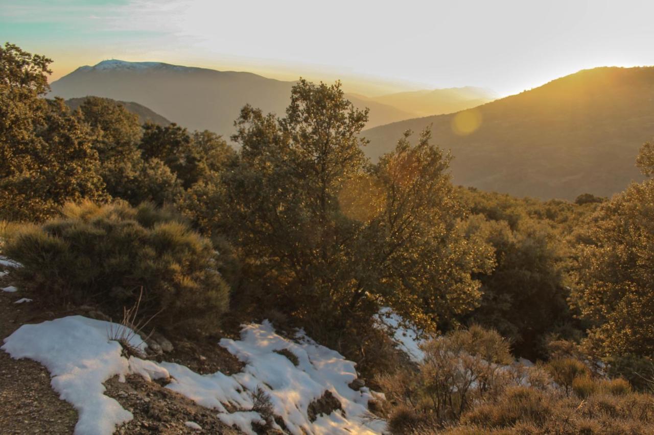 Casa Rural Catifalarga Alpujarra Capileira Eksteriør bilde